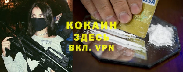 твердый Абаза