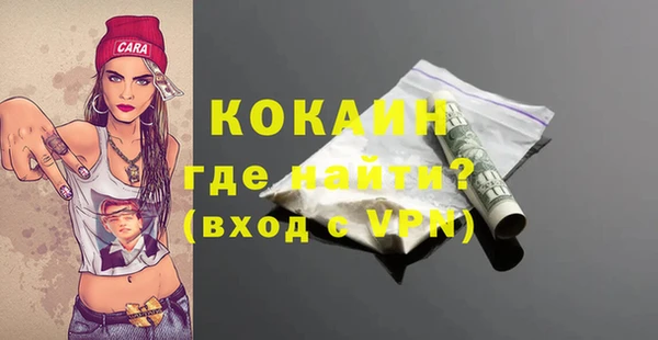 твердый Абаза