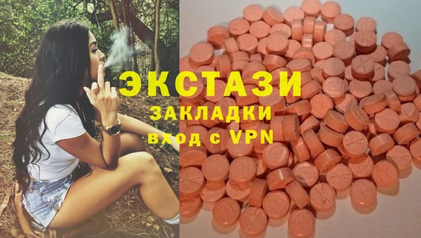 твердый Абаза