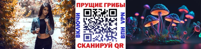 Псилоцибиновые грибы прущие грибы  Юрюзань 